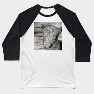 Lambkin | Cute lamb Baseball T-Shirt